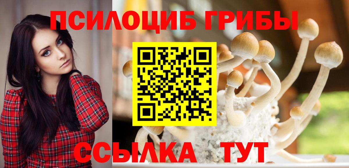 Вышний Волочёк  купить   Вход с VPN  Галлюциногенные грибы Cubensis 