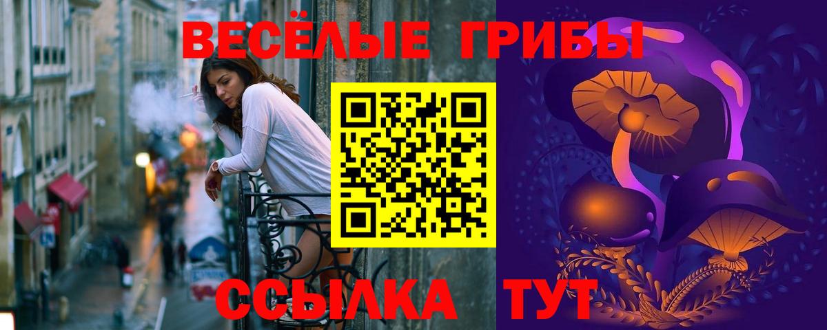 Псилоцибиновые грибы Psilocybine cubensis Вышний Волочёк